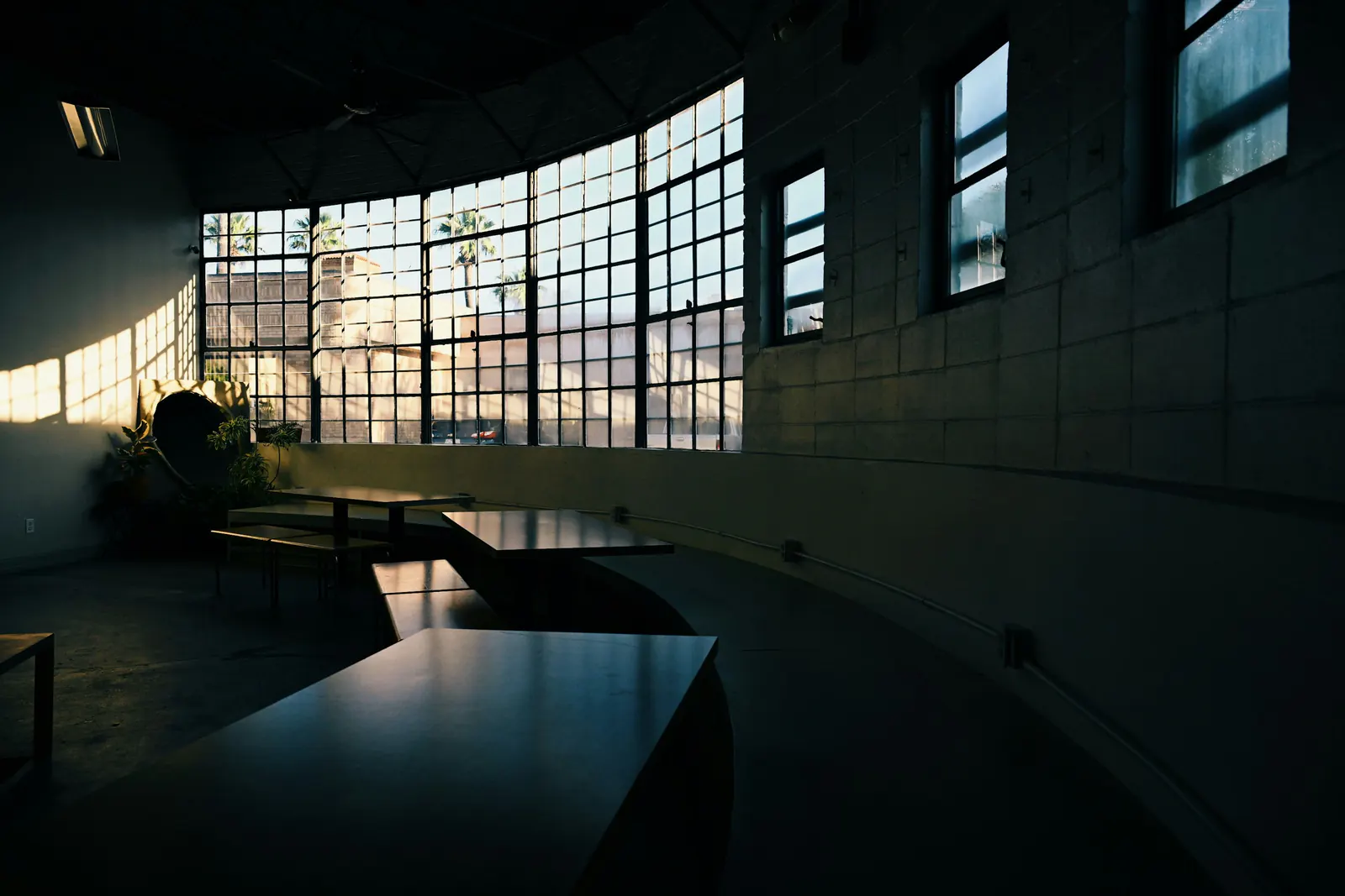 Sunlight entering a modern cafe through tall windows